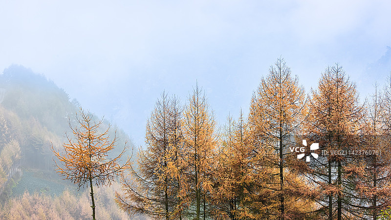 四川阿坝藏族羌族自治州汶川县耿达秋色图片素材