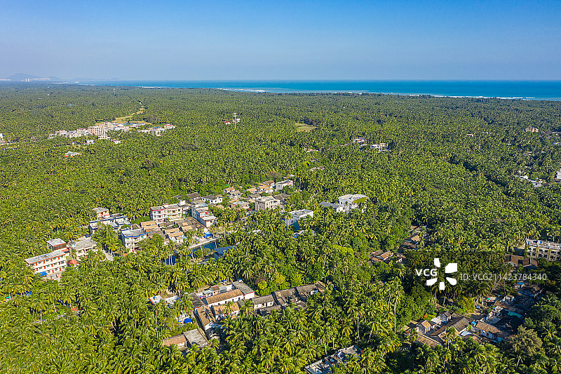 航拍海南文昌东郊椰林风景区 成片椰树郁郁葱葱 热带海滨椰子种植园 海南省文昌市东郊镇海滨半岛图片素材