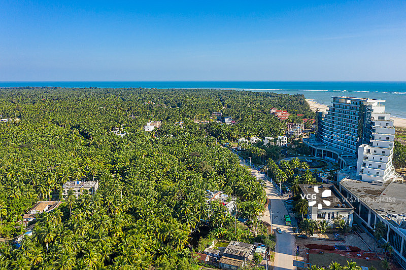 航拍海南文昌东郊椰林风景区 成片椰树郁郁葱葱 热带海滨椰子种植园 海南省文昌市东郊镇海滨半岛图片素材