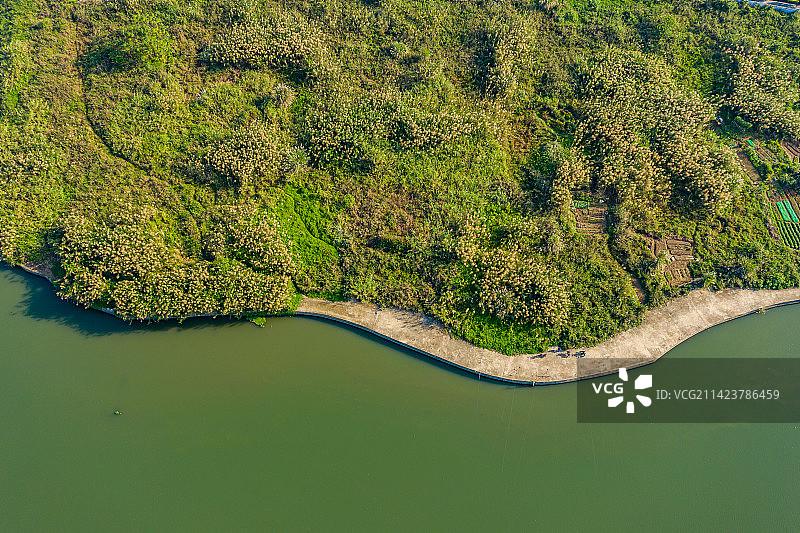 航拍万泉河海南琼海市区段 琼海嘉积水电站库区 热带河流湿地图片素材