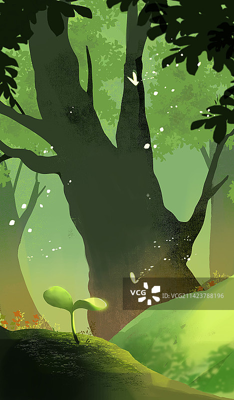 春天的森林萌芽发芽绿色图片素材