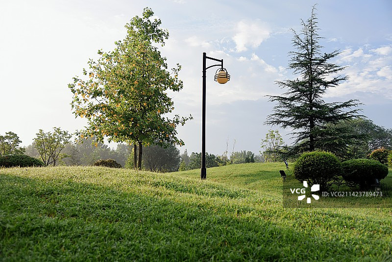 清晨草坪图片素材