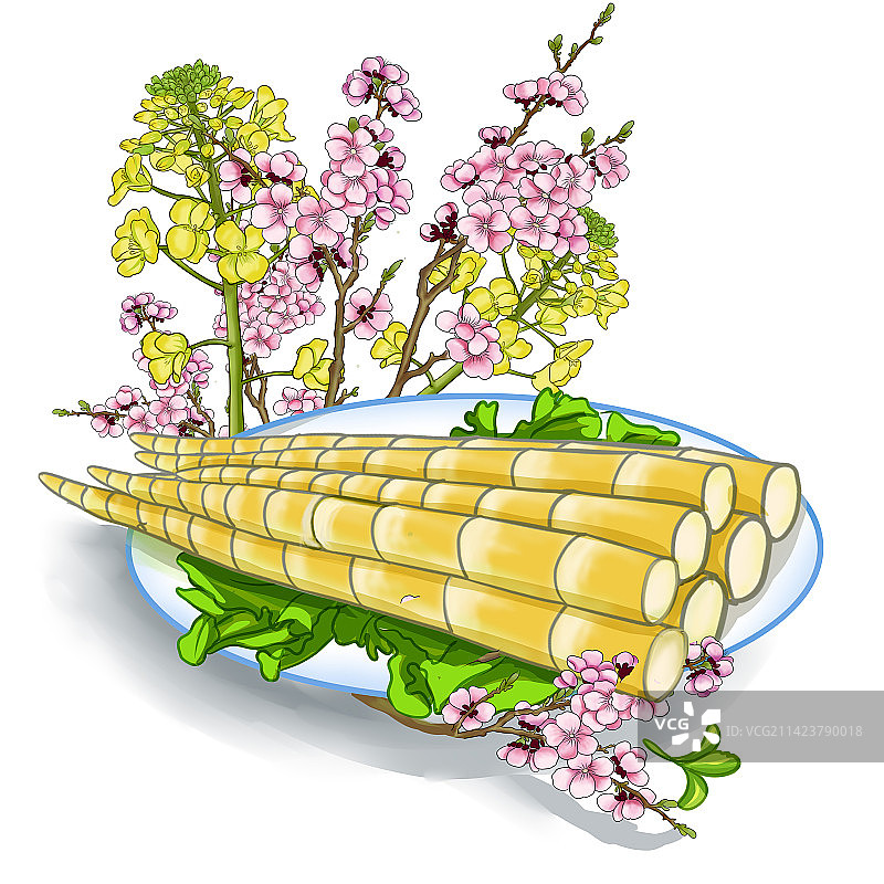 雨水节气春笋油菜花桃花杏花 的静物插图 节气美食素材图片素材
