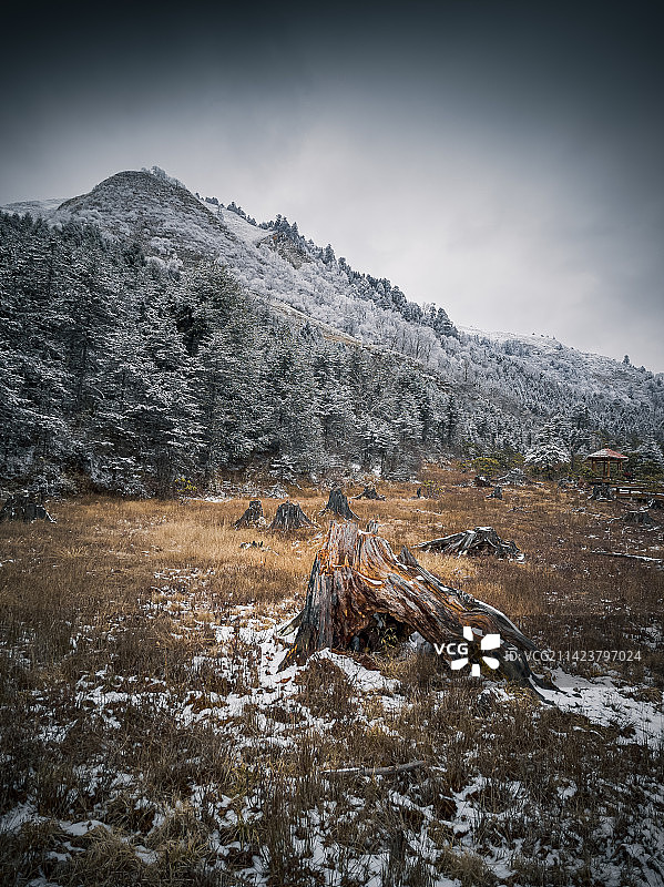 根雕与雪山图片素材