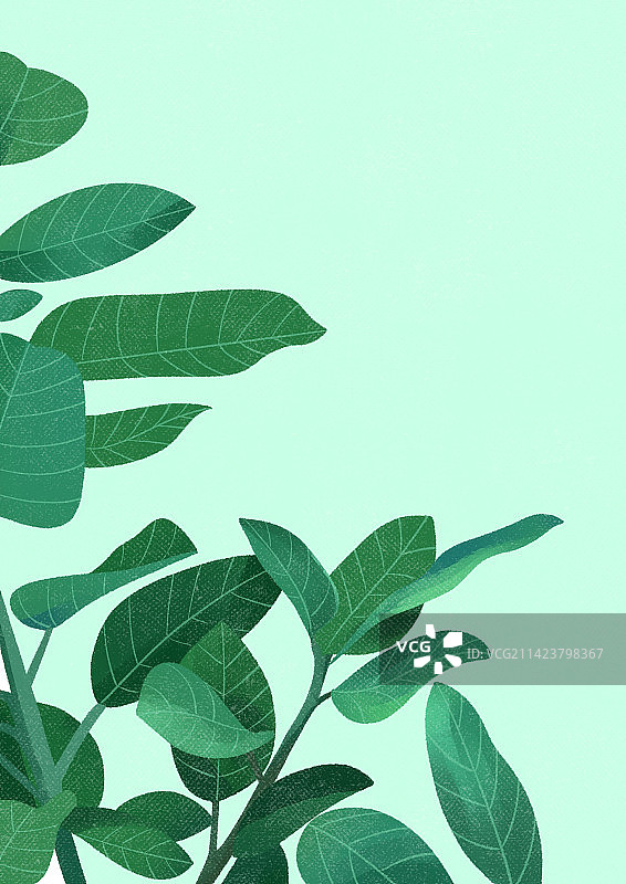 夏季植物绿叶清新插画图片素材