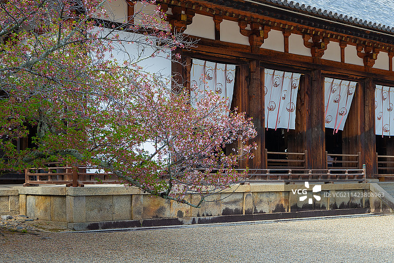 奈良法隆寺春天景色风光图片素材
