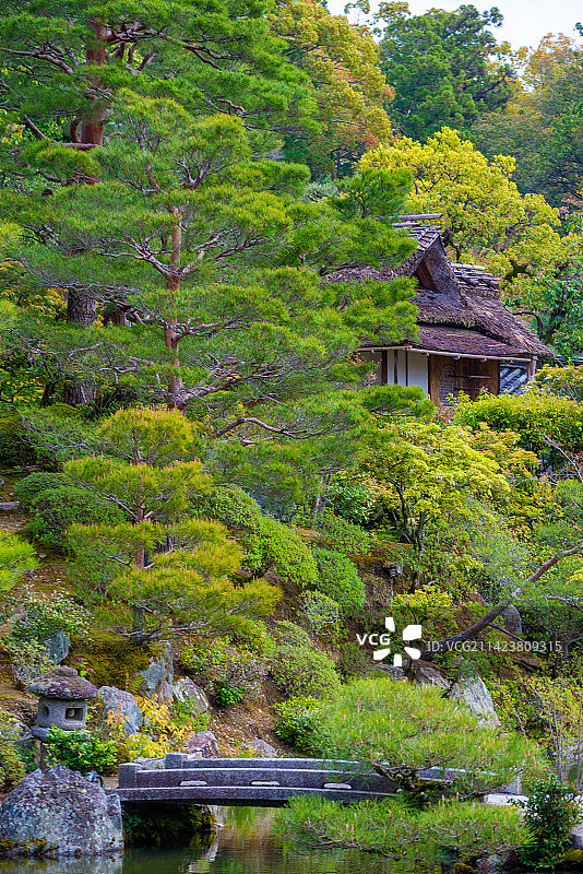 京都天龙寺春天景色风光图片素材