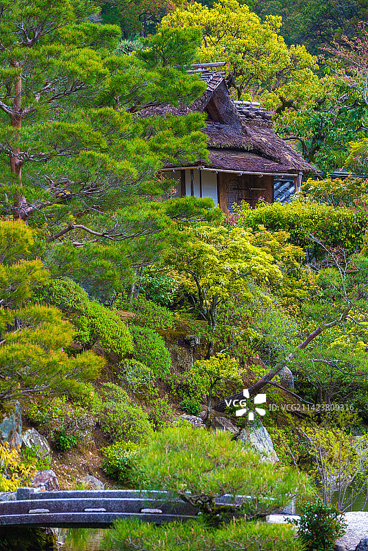 京都天龙寺春天景色风光图片素材