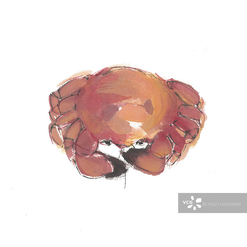 上海味道-大闸蟹图片素材