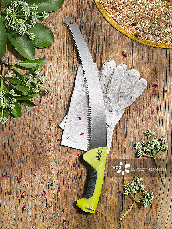 园艺工具锯子图片素材