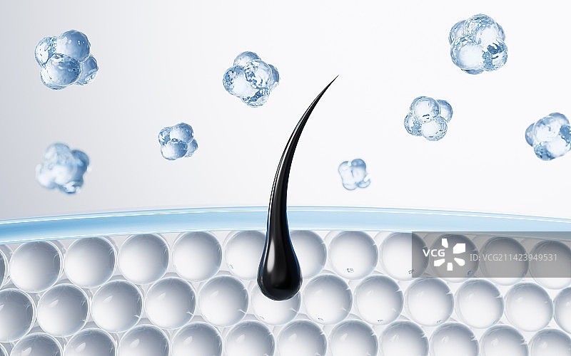 毛发与表皮细胞3D渲染图片素材