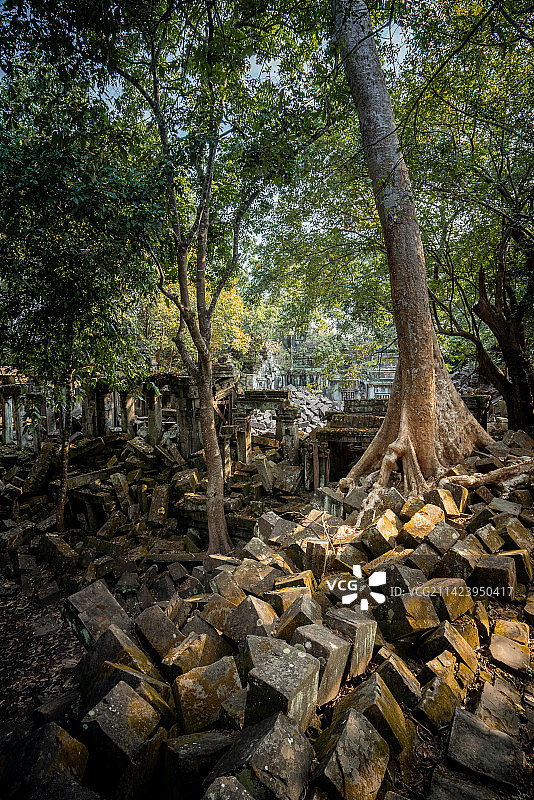 柬埔寨暹粒吴哥窟崩密列遗址Beng Mealea图片素材