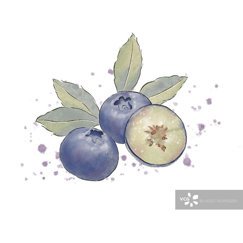 水彩蓝莓图片素材