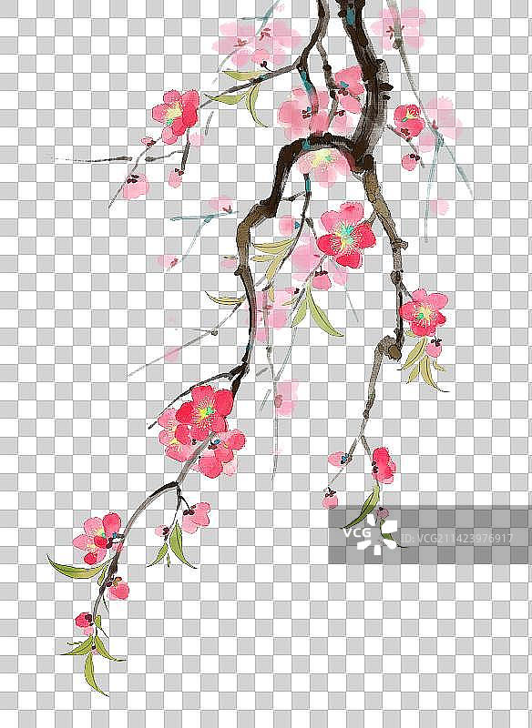 春天的桃花插画图片素材