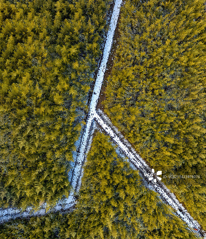 路“人”图片素材