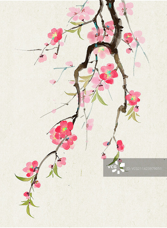 一枝桃花插画图片素材