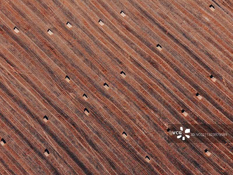 秋收的干草卷图片素材