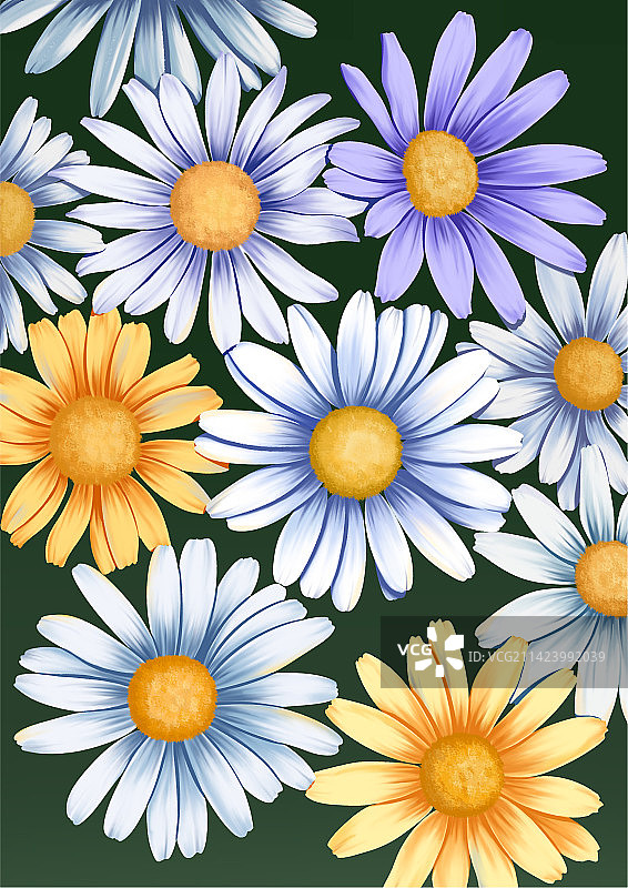 原创野雏菊装饰插画图片素材