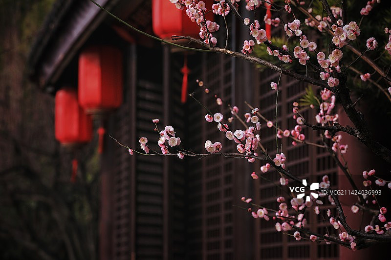 春暖花开图片素材