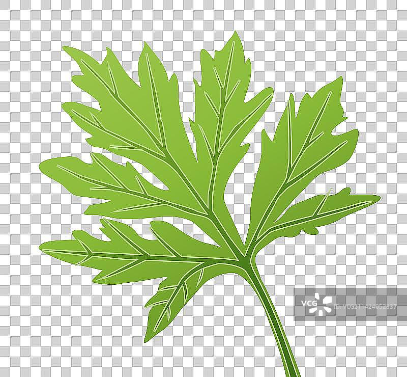 中国传统节日清明节二十四节气踏青青团插画海报图片素材