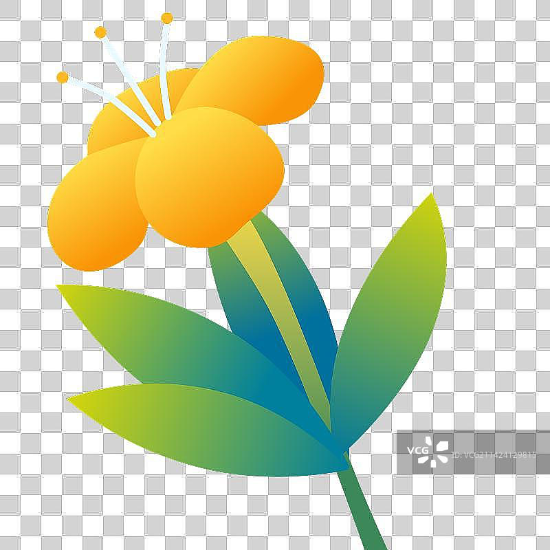 春天春季橘黄色的小花花元素图片素材