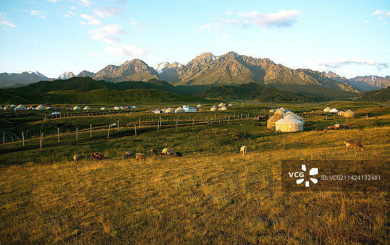 草原的早晨图片素材