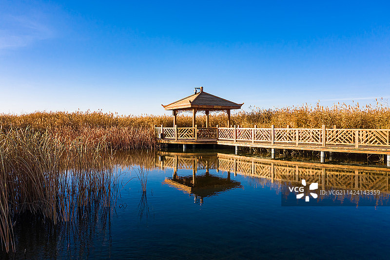 深秋酒泉六分湿地公园图片素材