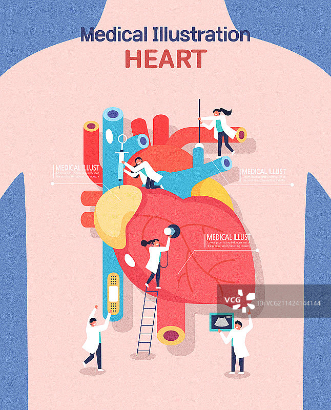 医疗内脏检查治疗人体躯干心脏图片素材