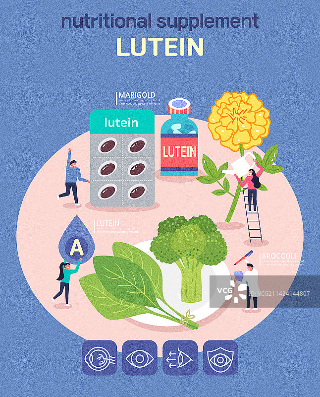 营养、保健、叶黄素、万寿菊、菠菜、西兰花、药丸图片素材