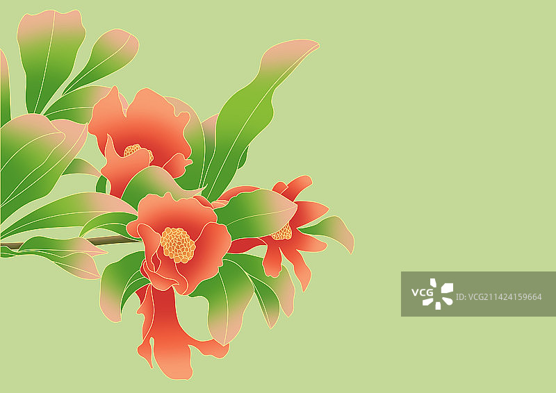 插画植物石榴花#扁平渐变图片素材