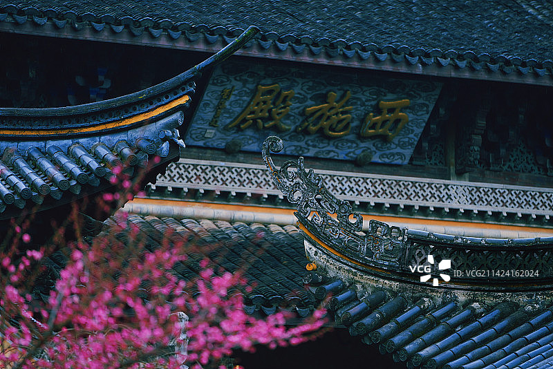 江南浙江 春到西施殿 屋檐红梅中国风图片素材
