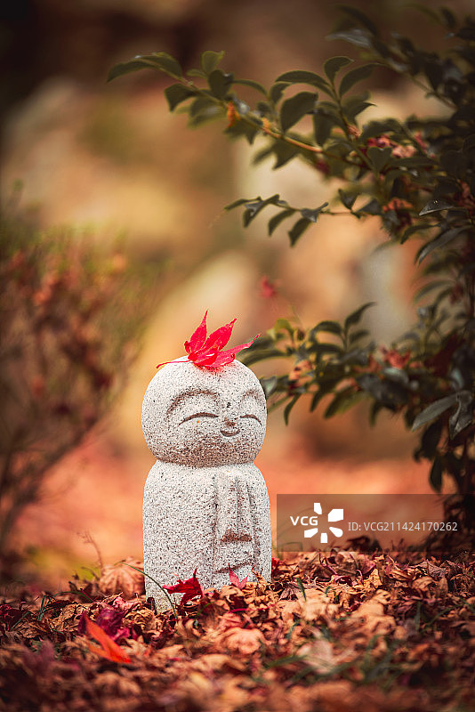 日本京都，秋季红叶，地藏小佛像图片素材