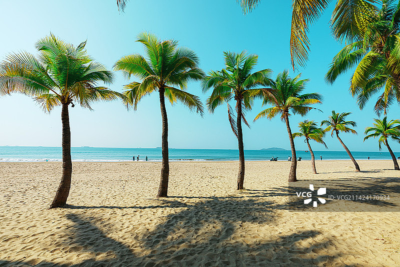 三亚蓝天白云，大海沙滩椰子树图片素材