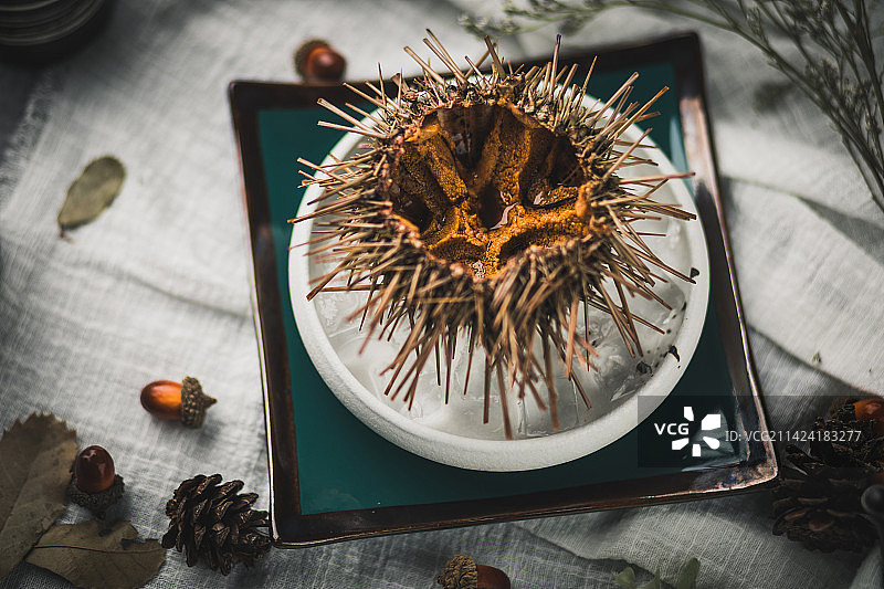 就在桌子上盘子里的食物的正上方图片素材
