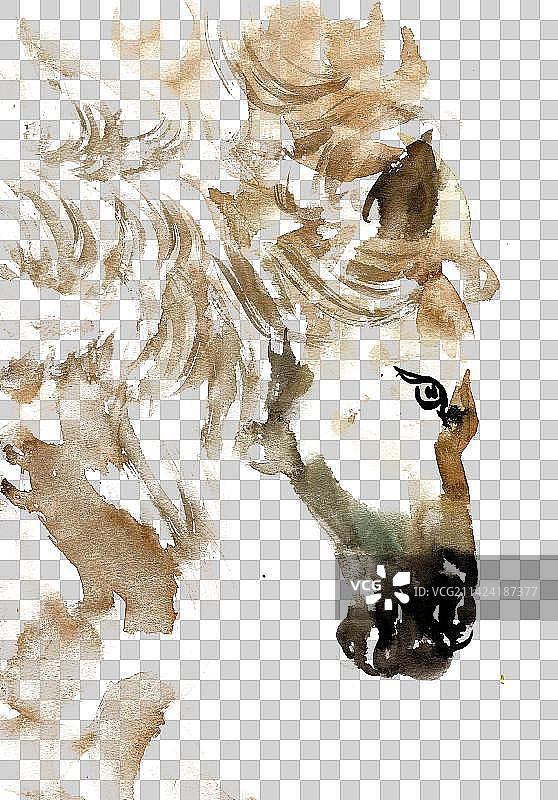 白色的骏马图片素材