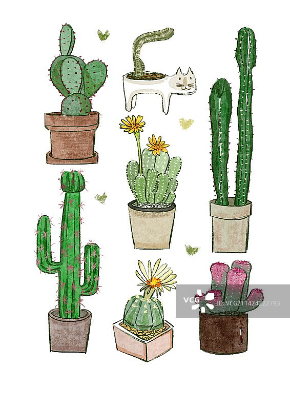 仙人掌图片素材