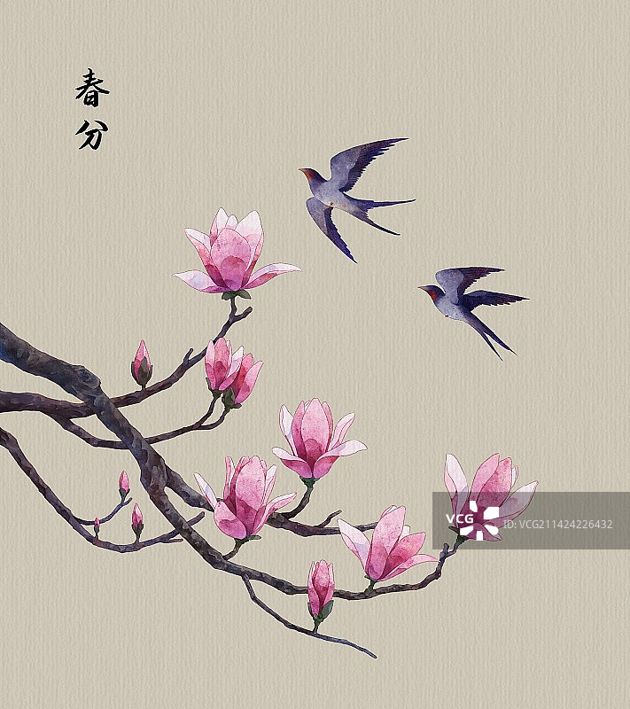 辛夷花与燕子图片素材