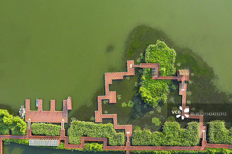 珠海横琴湿地公园图片素材