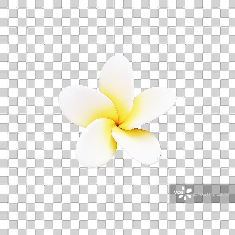 3D立体鸡蛋花元素图片素材