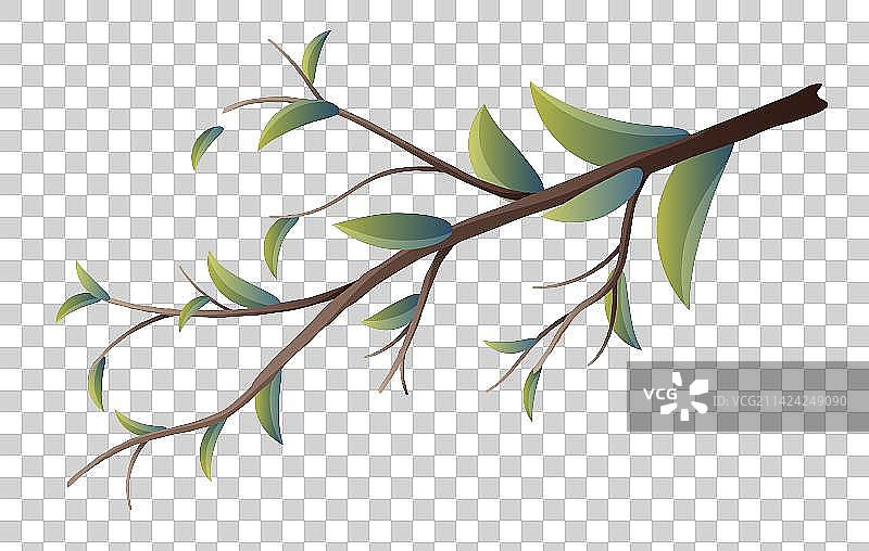 十二花令-三月-桃花-枝干图片素材