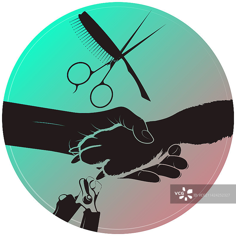 美容师手中的动物爪子动物美容图片素材