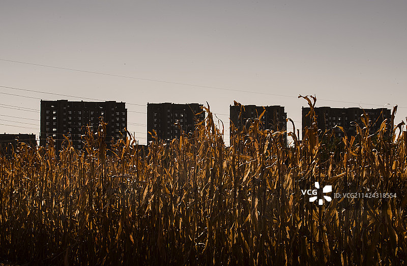 城乡之间图片素材