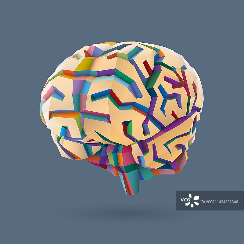 几何形状的人脑3D模型图片素材