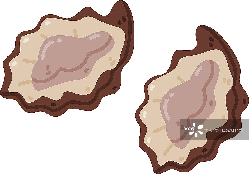 作为咸水双壳软体动物海鲜的牡蛎图片素材