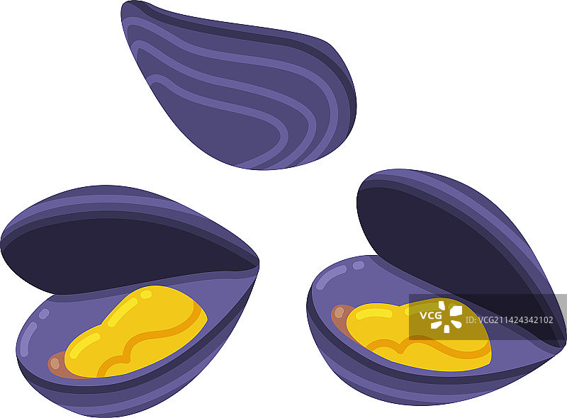 海鲜与新鲜海产贝类图片素材