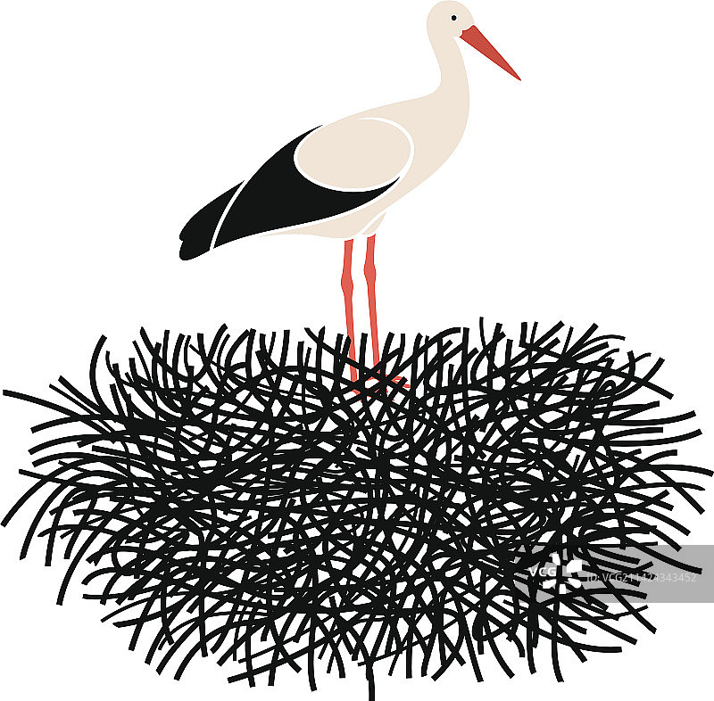 鹳图片素材