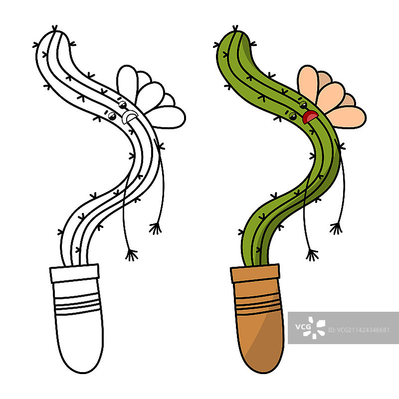 盆栽仙人掌填色书页图片素材