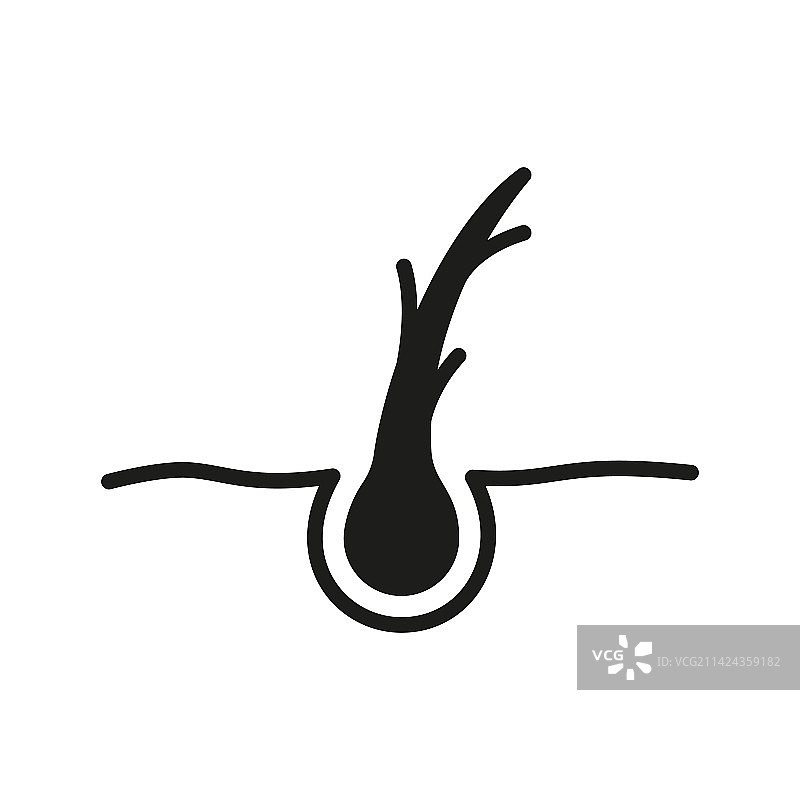 头发分叉轮廓图标：毛囊损伤图片素材