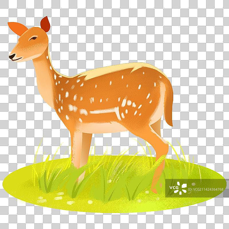 动物插画 小鹿图片素材