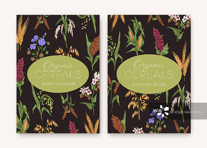 谷物背景图案图片素材